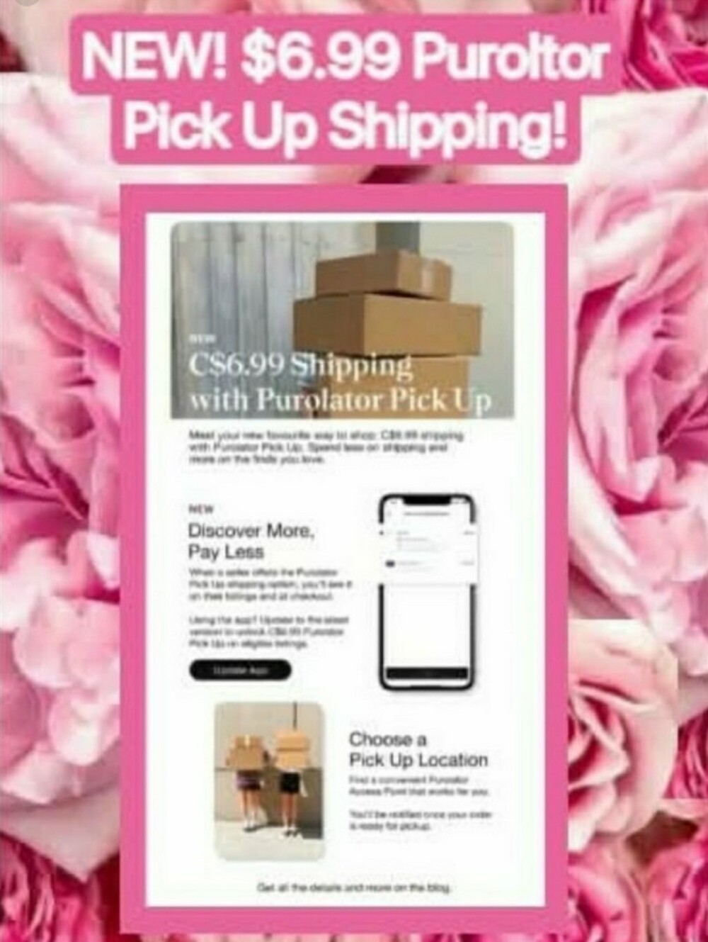 NEW! Purolator Shipping Now Just $6.99 for pickup! 🥳🎈😁🎉